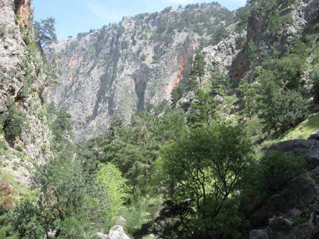 Excursion to the Gorge of Agia Irini