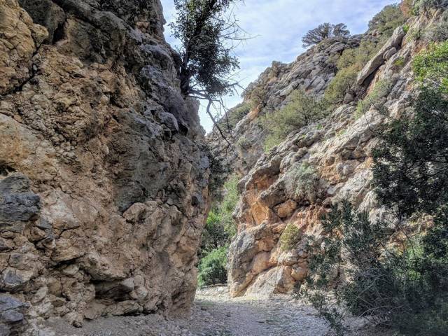 Excursion to the Gorge of Anirdi